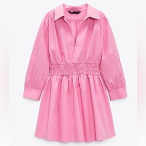 Zara Collared Mini Dress in Pink